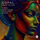 Amir Telem - Gopal