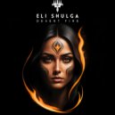 Eli Shulga - Desert Fire (Original Mix)