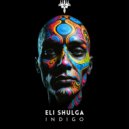 Eli Shulga - Indigo (Original Mix)