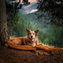 Morning Chill Playlist & Dog Calming Music Prime & Dog Calming Music Project - Quiet Sounds Calm Dog Nights