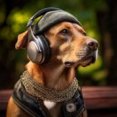 Sonic Brainwaves & Music for Dog Walks Bgm & Dog Music Curation - Chill Bark Patterns