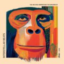Interstellar Beats - The Ape Who Understood The Universe