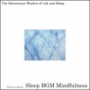 Sleep BGM Mindfulness - Harmony in the Embracing Sounds of Sound Healing for Night's Serenity