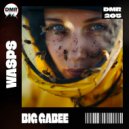 Big Gabee - Wasps (Original Mix)