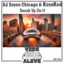 DJ Seven Chicago & RoseRed - Sneak Up On It (Radio Edit)