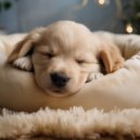 Abrazando los sonidos & Relájate la música de mi perro & Relax mi perro música - Música Relajante Para Perros Apacibles ()