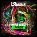 Vkyng & Dr Beats - Low FLow ()