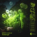 Rsrch Chmcls - Haunting