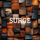 Sander X - Surge