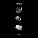 Ondras - Citrus