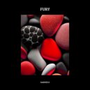 Sander X - Fury