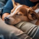 Sentimiento Profundo & Música para Perros Ambiente & Cachorro durmiendo RW - Supera A Los Perros Para Que Descansen ()