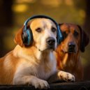 Gentle Music Journey & Music for Dog Relaxation & Music for Dog\'s Ear - Calm Dogs in Music ()