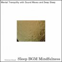 Sleep BGM Mindfulness - Whispers of the Soul with Deep Relaxation for Sleep (Original Mix)