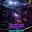 Distorted Forest - Hi reso (Original Mix)