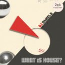 DJ Daniel D - What Is House (Paul et Luc Remix)