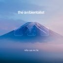 The Ambientalist - Who Can We Be ()