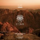 Dark Soul Project, Replicanth - Sinai (Original Mix)