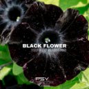 King Of Madness - Black Flower (Original Mix)