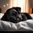 Esculturas sonoras colectivas & Musica-para-Relajar-Perros & Musicoterapia canina - Flujo De Enfriamiento Del Cachorro ()