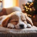 Unidad de alivio del dolor de cabeza & Zona de terapia canina & Radio de música para perros - Sinfonía Serena Del Cachorro