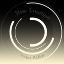 Pako Mike - Rise Intuition ()