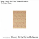 Sleep BGM Mindfulness - Whispers of the Forest Carrying Tunes of Neurological Waves (Original Mix)