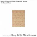 Sleep BGM Mindfulness - Mindful Reflection, The Heartbeat of Serenity