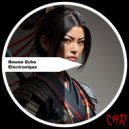 Rowan Echo - Electronique