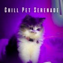 Calm Stress Relief & Music for Pets & Pet Chillout Music - Ambient Lofi Paw Vibes