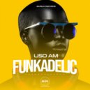 Liso AM - Funk II ()