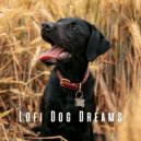 Lofi City Colours & Songs for Dogs to Sleep To & Lofi Dreams - Mellow Tunes for Canine Rest ()