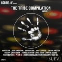 Moving Shapes - Tikal (Original Mix)