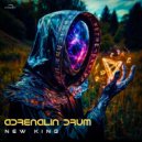 Adrenalin Drum - Tunnels of Time