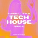Mistique 70 - Crystal Water (Club Mix)