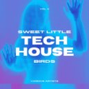 Ron Sacez - La Maison (Club Mix)