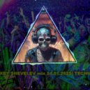 DJ ALEXEY SHEVELEV - mix 24.01.2025( TECHNO RAVE ) ()