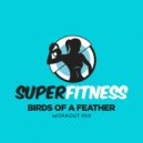 SuperFitness - Birds of a Feather (Instrumental Workout Mix 133 bpm)