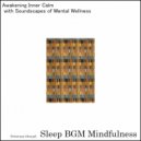 Sleep BGM Mindfulness - Healing Sleep with Sound Waves and Neural Activation (Original Mix)