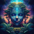 VANDETA - Organic (Original Mix)