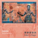 XXperiencia - Ogum (Original Mix)