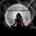 Dj Roma Record - Organic Vibes 2025