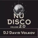 Dj David Volkov - NuDisco 2.0 ()