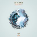 End of Analog - In the House ()