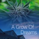 Dane Giordano - Hold On To Your Dream ()