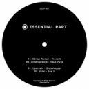 Adrian Roman - Transitif ()