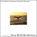 Sleep BGM Mindfulness - From Stress Relief to the Sound of Healing (Original Mix)