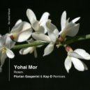 Yohai Mor - Rotem
