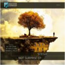 St.Ego - Not Surprise