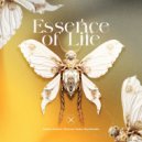 Adam Dietze & Tommy Haks & Synthodic - Essence of Life